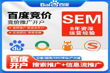 大型SEM服务公司案例分析